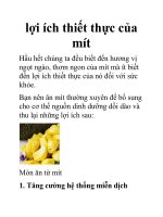 Những lợi ích thiết thực từ mít pps