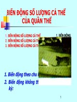 Giáo án điện tử sinh học: Sinh học lớp 12-BIẾN ĐỘNG SỐ LƯỢNG CÁ THỂ CỦA QUẦN THỂ pot