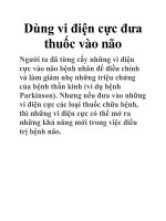 Dùng vi điện cực đưa thuốc vào não docx