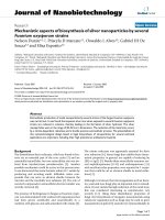 báo cáo khoa học: 