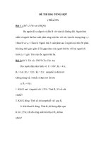 ĐỀ THI HSG TỔNG HỢP ( Đề số 13) doc