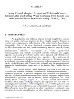 COASTAL AQUIFER MANAGEMENT: monitoring, modeling, and case studies - Chapter 5 pot