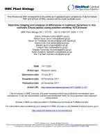 báo cáo khoa học: 