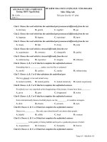 ĐỀ KIỂM TRA CHẤT LƯỢNG ĐẦU NĂM 2010-2011 Môn: Tiếng Anh pps