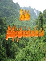 Giáo án điện tử môn sinh học: Sinh học lớp 12- Cấu trúc di truyền quần thể-Bài giảng ppsx