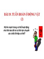 Giáo án điện tử môn sinh học: Sinh học lớp 12- Bài 19 Tuần Hoàn doc