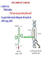 Giáo án điện tử sinh học: Sinh học lớp 12-TIẾT 2: PHIÊN MÃ VÀ DỊCH MÃ doc