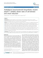 báo cáo khoa học: 