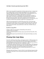 Giới thiệu về chuyển mạch nhãn đa giao thức MPLS doc