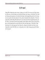 kinh tế vi mô thuyết trình phân tích sự biến động của giá gas việt nam