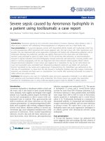 báo cáo khoa học: 