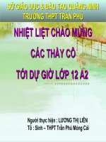 Giáo án điện tử sinh học: Sinh học 12-HỆ SINH THÁI , SINH QUYỂN VÀ BẢO VỆ MÔI TRƯỜNG ppt