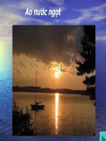 Giáo án điện tử môn sinh học: Sinh học lớp 12- Tổng hợp gen di truyền thực thể học ppt