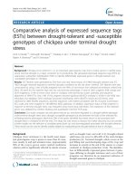 báo cáo khoa học: 