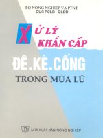 Xử lý khẩn cấp Đê – Kè – Cống trong mùa lũ part 1 docx