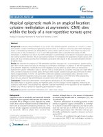 báo cáo khoa học: 