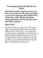 Phương pháp phòng tránh bệnh liên cầu khuẩn pps