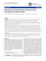 báo cáo khoa học: 