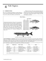Lake and Pond Management Guidebook - Chapter 4 pps