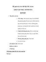 Hệ quản trị cơ sở dữ liệu MS Access ppsx