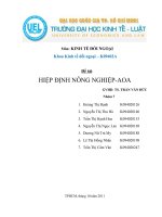 hiệp định nông nghiệp ppt