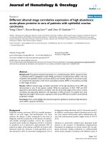 báo cáo khoa học: 