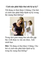 Cách nào phát hiện thai nhi bị tự kỷ? pdf