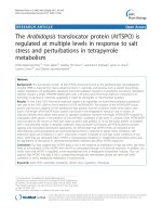 báo cáo khoa học: 