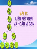 Giáo án điện tử sinh học: Sinh học 12-Thi giáo viên giỏi-Liên kết và hoán vị Gen docx