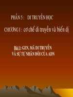 Giáo án điện tử môn sinh học: Sinh học lớp 12- Sự Sống của thực vật pdf