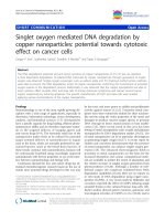 báo cáo khoa học: 