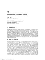 Enzymes in the Environment: Activity, Ecology and Applications - Chapter 12 ppsx