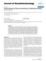 báo cáo khoa học: 