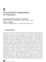 Chemical Degradation Methods for Wastes and Pollutants - Chapter 5 ppsx