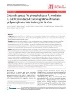 Meliton et al. Journal of Inflammation 2010, 7:14 ppsx