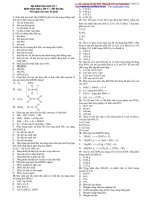 Đề kiểm tra môn hóa lớp 11 đề 004 docx