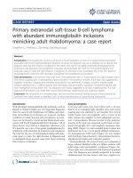 báo cáo khoa học: 