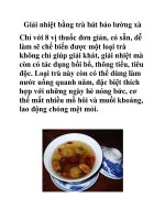 Giải nhiệt bằng trà bát bảo lường xà pot