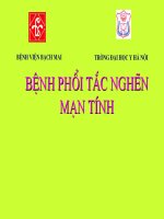 bênh phổi tắc nghẽn mãn tính