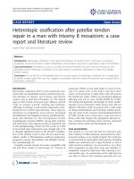 báo cáo khoa học: 