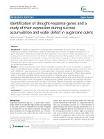 báo cáo khoa học: 