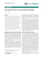 báo cáo khoa học: 