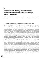 INTERFACIAL APPLICATIONS IN ENVIRONMENTAL ENGINEERING - CHAPTER 6 docx