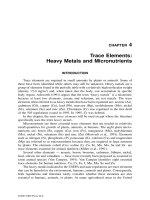 Land Application of Sewage Sludge and Biosolids - Chapter 4 pot