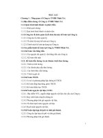 Kế toán tiền lương và các khoản trích theo lương tại công ty TNHH minh trí