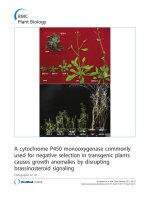 báo cáo khoa học: 