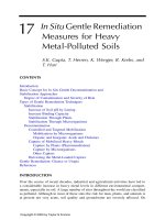 Phytoremediation of Contaminated Soil and Water - Chapter 17 pdf