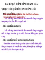 Giáo án điện tử môn sinh học: Sinh học lớp 12- Quá trình hình thành và phát triển loài ppsx