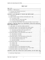 BÁO CÁO NGHIÊN CỨU CỘNG HƯỞNG TẦN SỐ THẤP TRONG HỆ THỐNG ĐIỆN (SSR)