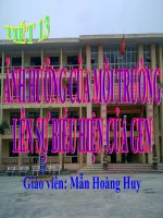 Giáo án điện tử môn sinh học: Sinh học lớp 12- Ảnh hưởng của môi trường lên kiểu Gen docx